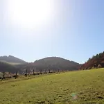Emde Willingen (Upland)