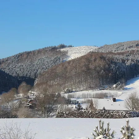 Appartement Emde Willingen (Upland)