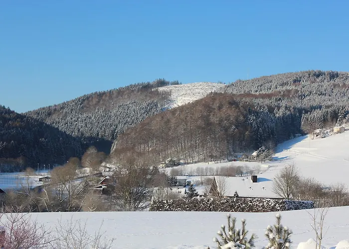 Διαμέρισμα Emde Willingen (Upland)