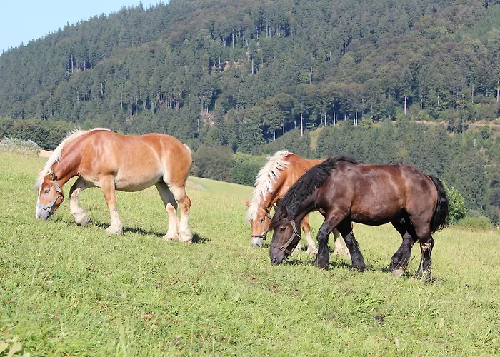 Апартаменты Emde