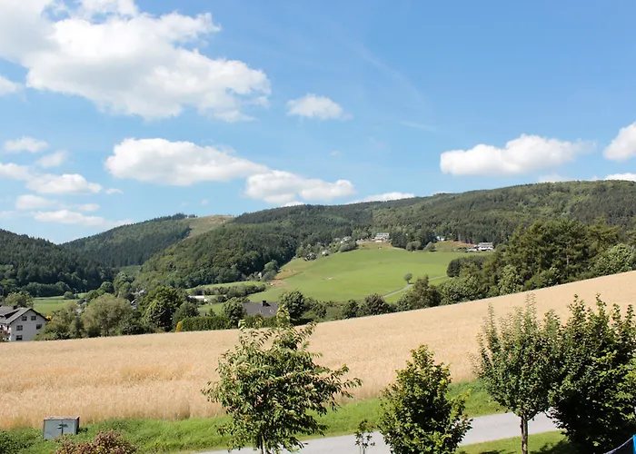 Emde Виллинген