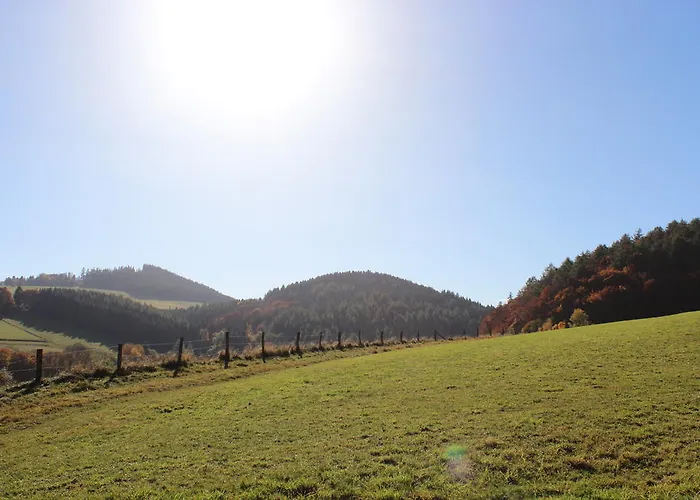 Emde Виллинген